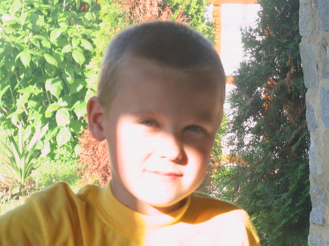 ANČA..